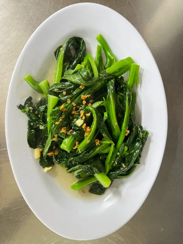 香港菜心苗